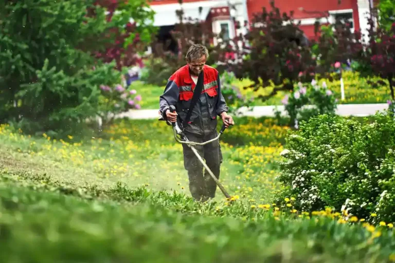Zipag AG, Gartenpflege, Bild von Maxim Tolchinskiy Unsplash