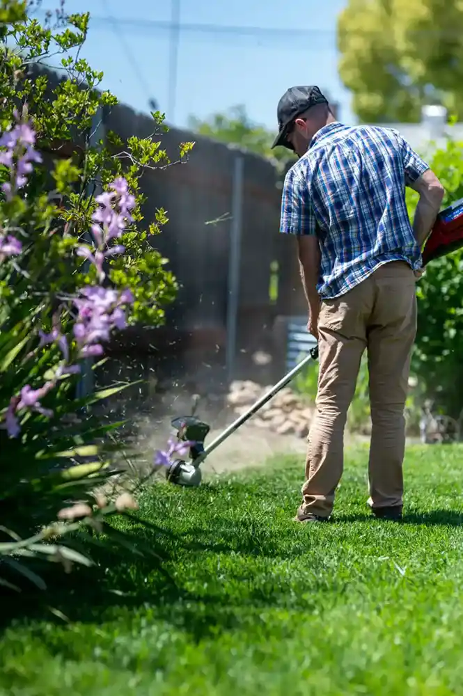Zipag AG Gartenpflege, Bild von Michael Kahn Unsplash, 1000px