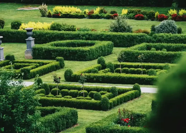 Zipag AG Gartenpflege, Bild von Stefan Cosma Unsplash, 1000px